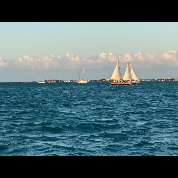 Meet your Posher, Wendy - Picture 1 of 1